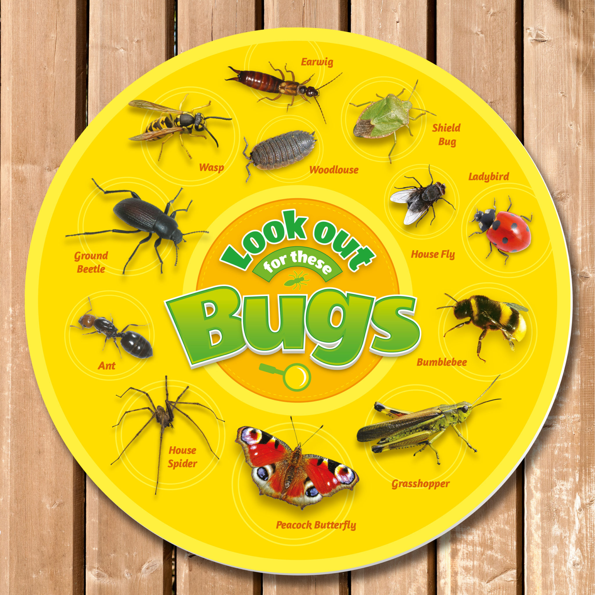 bug-identification-sign-circular-perfect-for-school-nature-areas