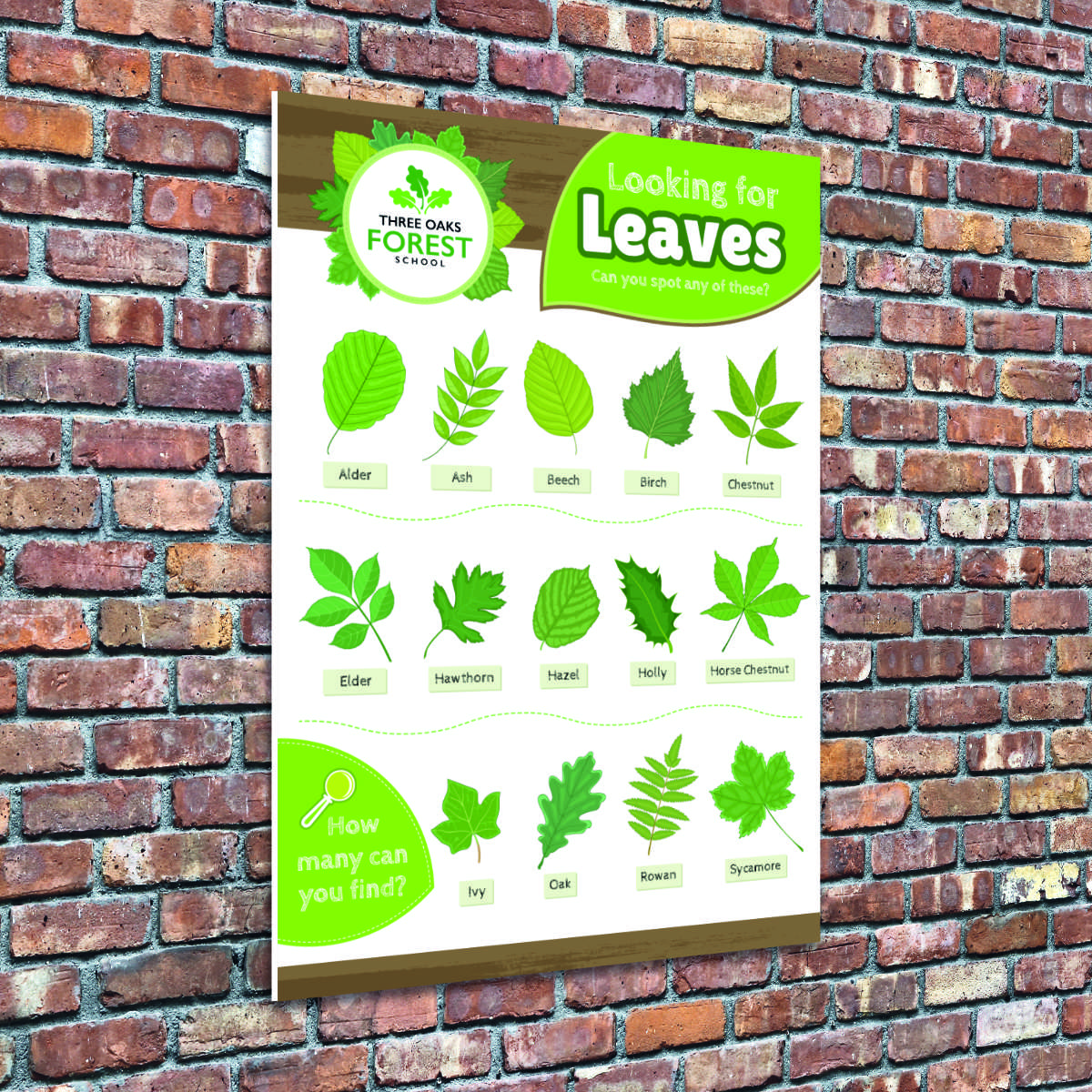 Tree Leaf Identification Sign - Perfect for Nature Areas & Forest Schools